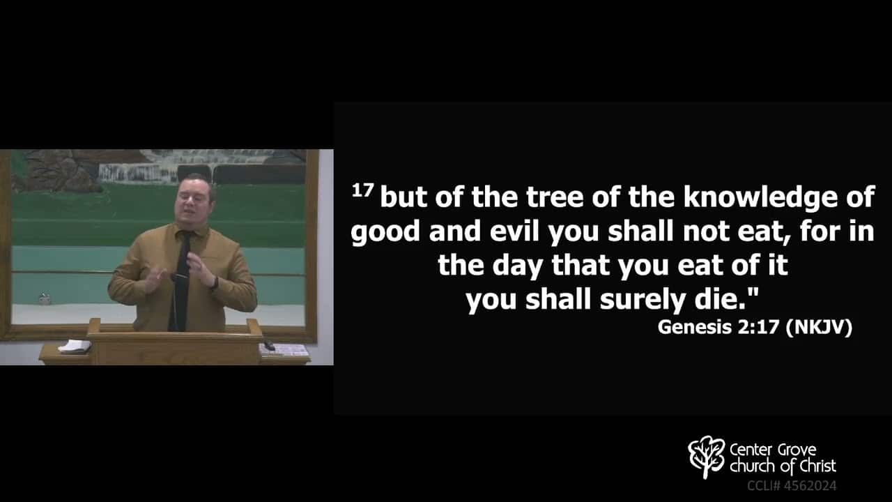 What Was So Bad About the First Sin? Image